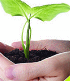 ������(f��)�t(y��)�W(xu��)���ġ�